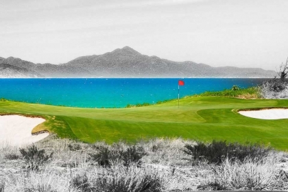Liên kết Montgomerie Việt Nam
